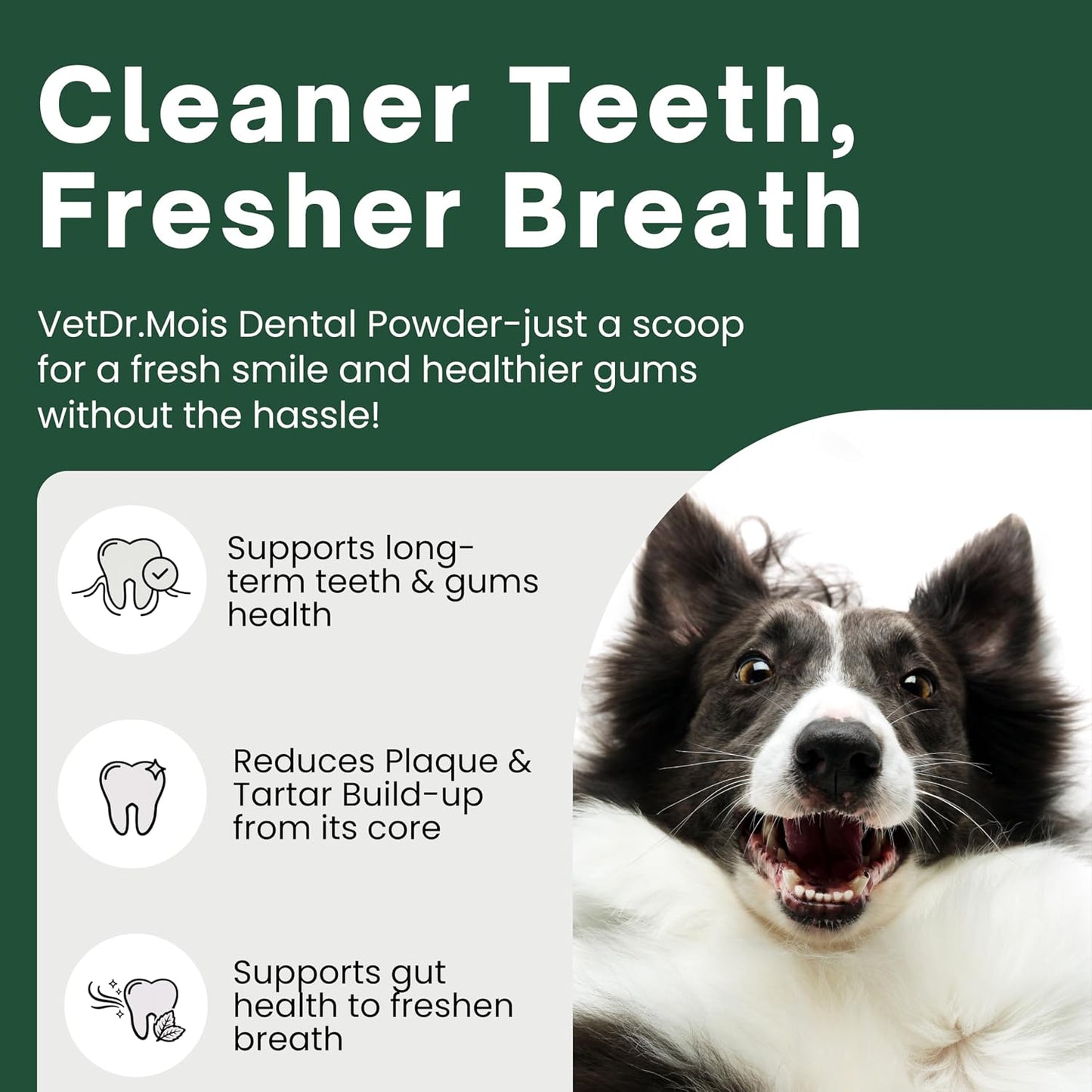 Dog Teeth Cleaning Powder for Dogs & Cats, Dental Powder for Plaque & Tartar Control, Fresh Breath Oral Care, No Brushing Needed, 150G