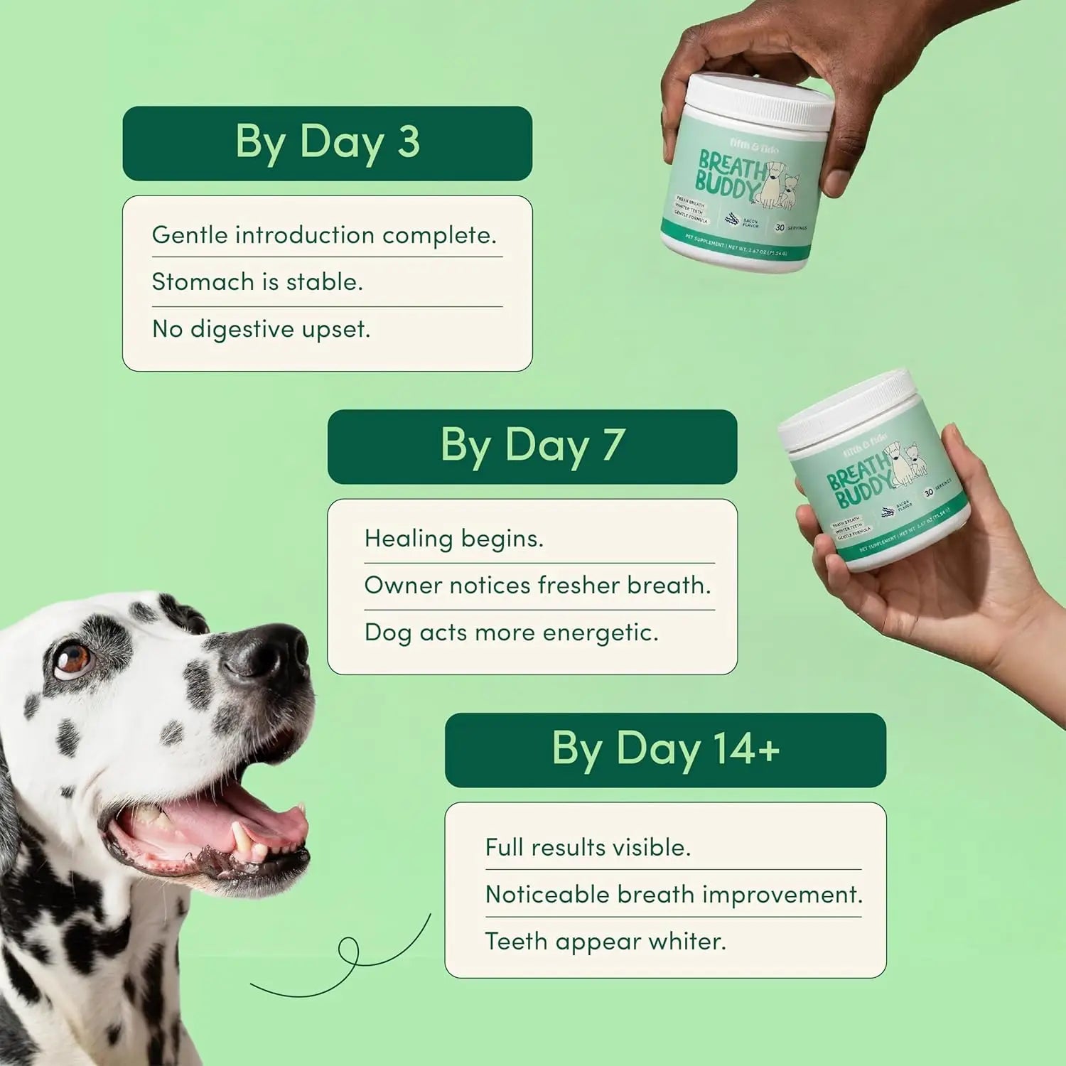 Dog Pet Tooth Cleaning Powder Dog Teeth Cleaner Dental Powder Cat Breath Freshener for Remove Plaque Tartar Natural Ingredients