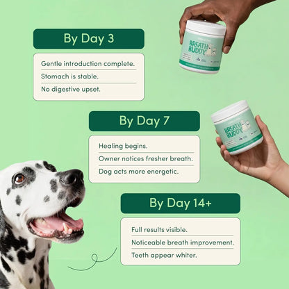 Dog Pet Tooth Cleaning Powder Dog Teeth Cleaner Dental Powder Cat Breath Freshener for Remove Plaque Tartar Natural Ingredients