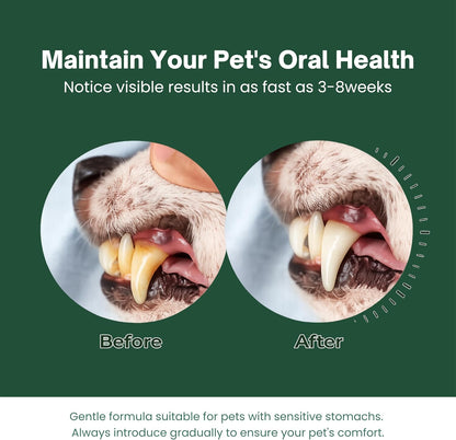 Dog Teeth Cleaning Powder for Dogs & Cats, Dental Powder for Plaque & Tartar Control, Fresh Breath Oral Care, No Brushing Needed, 150G