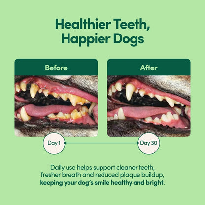 Dog Pet Tooth Cleaning Powder Dog Teeth Cleaner Dental Powder Cat Breath Freshener for Remove Plaque Tartar Natural Ingredients